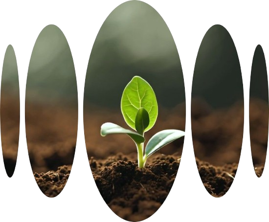 Group_2-removebg-preview