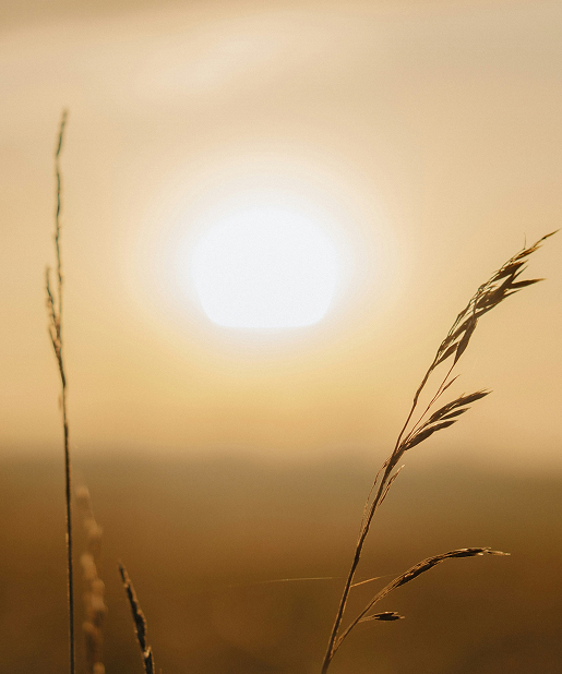 james-hon-gOUh_TsI4Dk-unsplasqsh 1